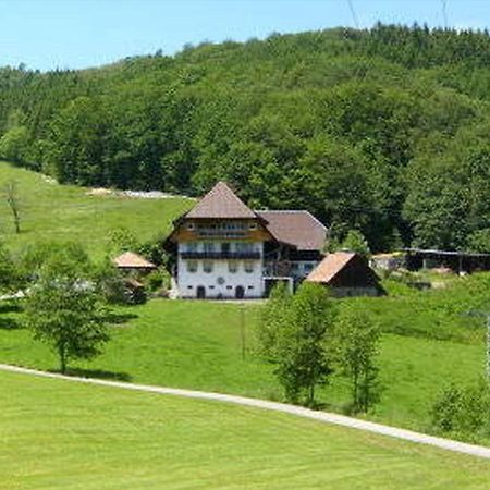 Apartmán Heizmannshof Hofstetten  Exteriér fotografie