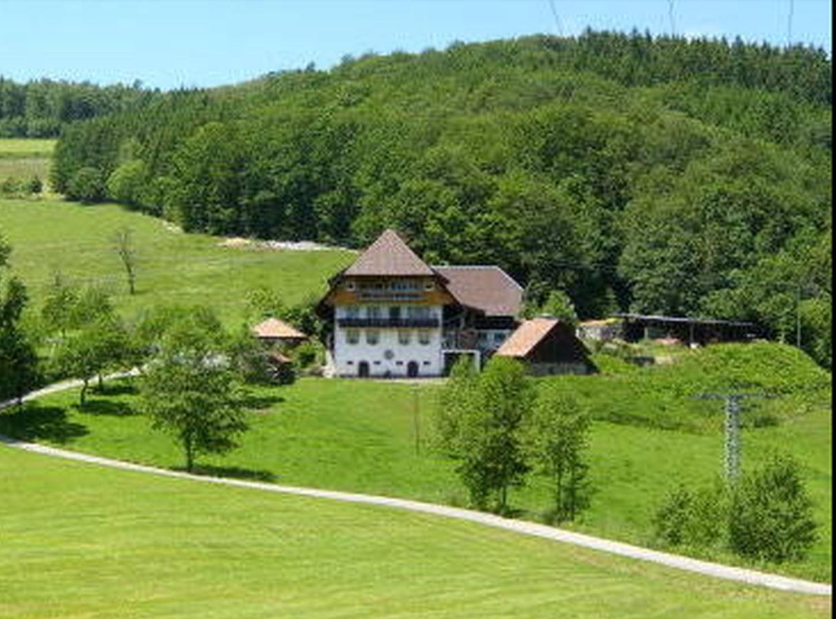 Apartmán Heizmannshof Hofstetten  Exteriér fotografie